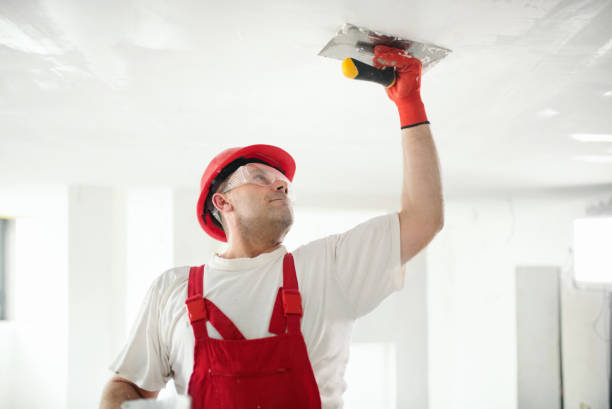 Dehumidification Services in Cherryland, CA