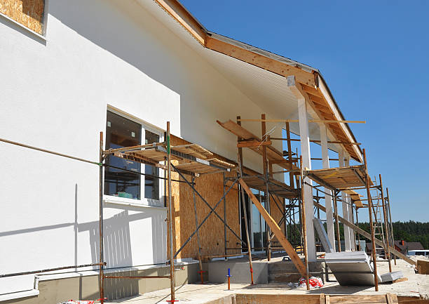 Best Mold Damage Restoration  in Cherryland, CA